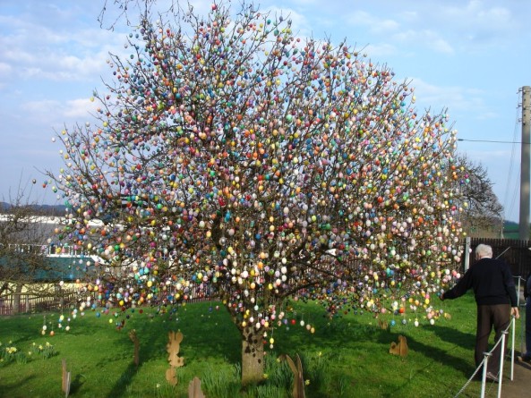 Osterbaum