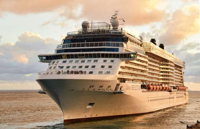 Celebrity Reflection