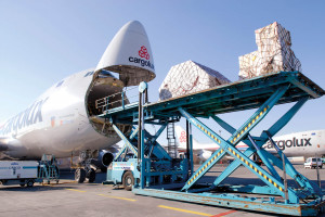 Вкусови добавки за кучешка хранаluxaircargo