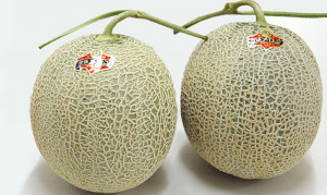 Кралски пъпеши Юбари