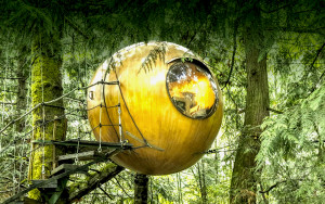 Free Spirit Spheres