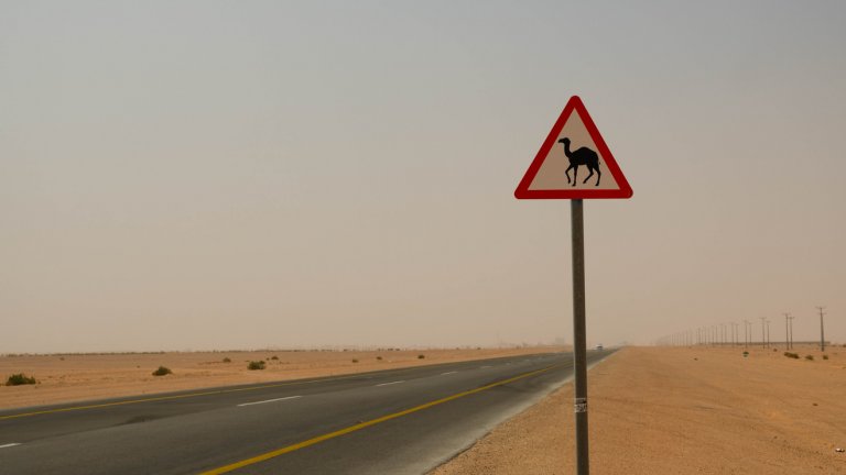 Най-дългият прав път в света Най-дългият прав път в света